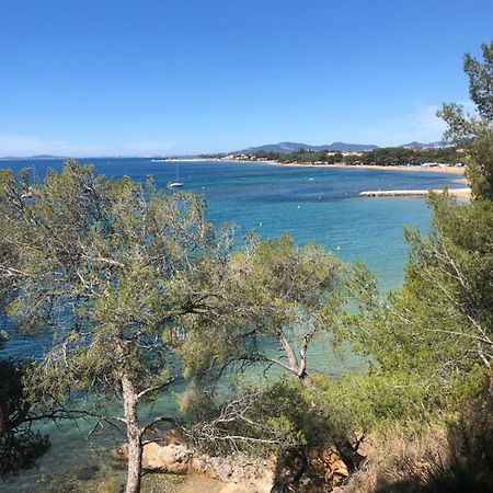 Studio L'Argentiere Plage La Londe-les-Maures Kültér fotó