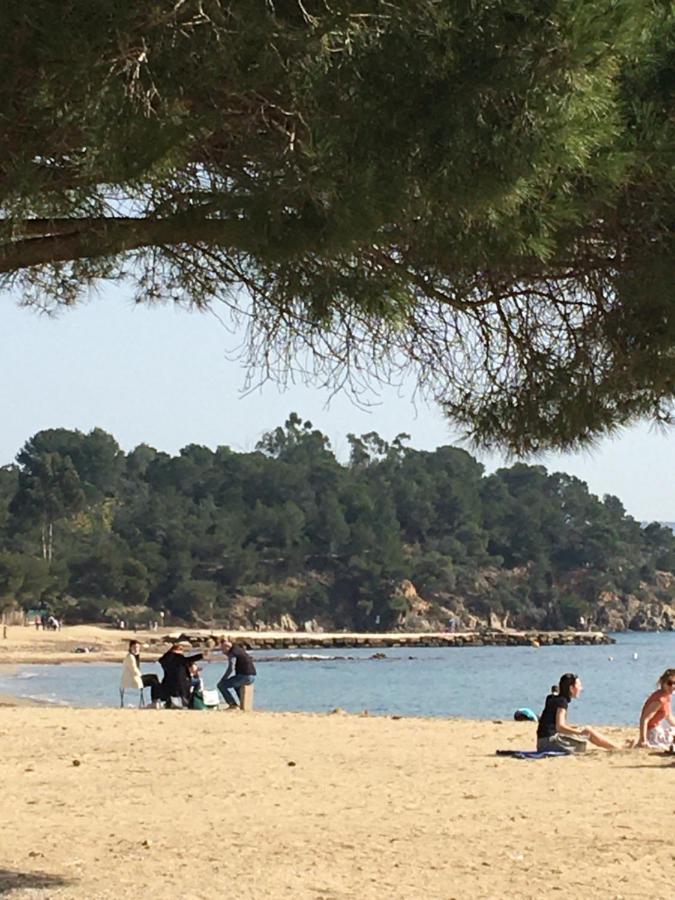 Studio L'Argentiere Plage La Londe-les-Maures Kültér fotó
