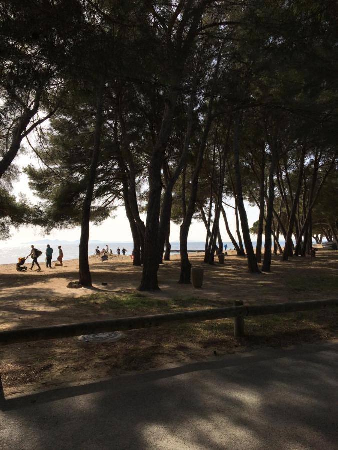 Studio L'Argentiere Plage La Londe-les-Maures Kültér fotó